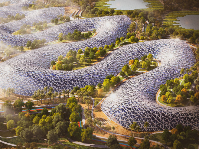 Dubai To Build Huge 'AgriHub' Farm