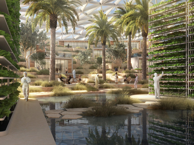 Dubai To Build Huge 'AgriHub' Farm