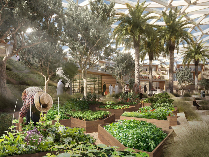 Dubai To Build Huge 'AgriHub' Farm