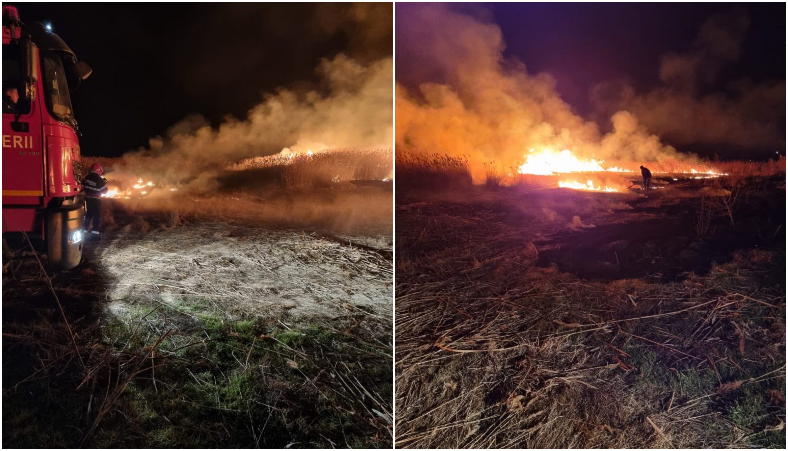 Incendiile de vegetație uscată iau amploare în Tulcea. 110 hectare au ars sâmbătă în Delta Dunării. Pompierii au intervenit