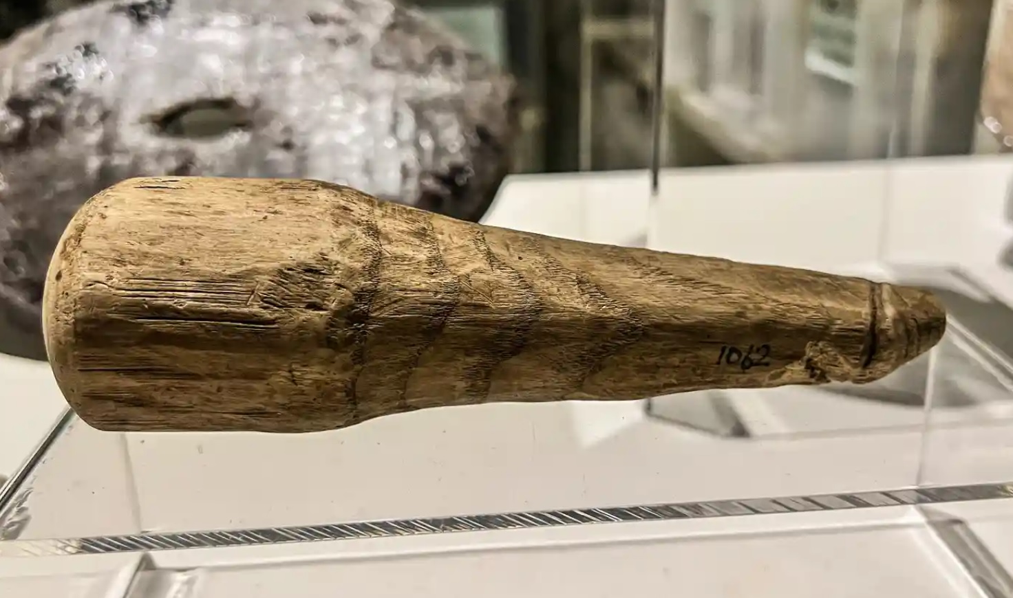 Jucărie indecentă sau instrument de tortură: un falus vechi de 2.000 de ani ar putea fi primul dildo roman descoperit de arheologi