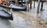 *EXCLUSIVE* Exceptional low tide in Venice has caused the famous canals to Exceptional low tide which have caused canals and Grand Canal to dry up.