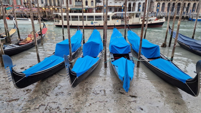 *EXCLUSIVE* Exceptional low tide in Venice has caused the famous canals to Exceptional low tide which have caused canals and Grand Canal to dry up.