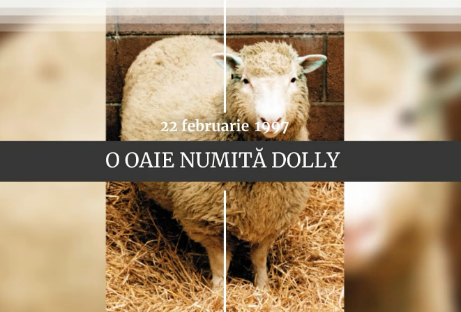 Digistoria - cele mai importante evenimente petrecute în 22 februarie