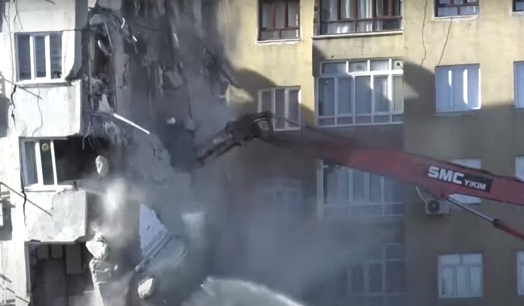 Demolare oprită după ce s-a cerut salvarea unor animale blocate: În ce fel de ţară trăim? Acestea sunt vieţi, nu le puteţi distruge aşa