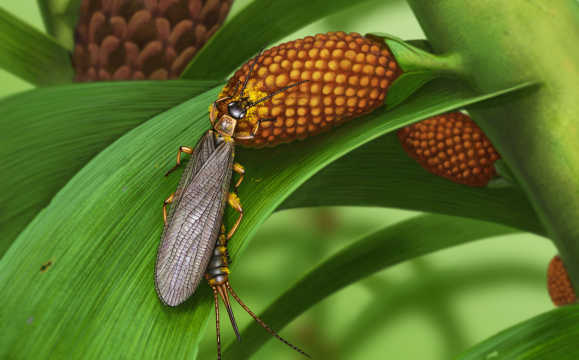 Insecte acoperite cu polen, vechi de 280 de milioane de ani, descoperite în Rusia