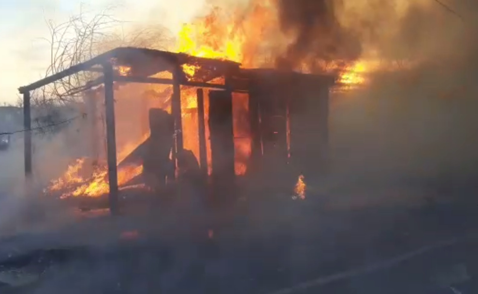 Incendiu de vegetație extins la un bloc de locuințe din Bârlad. Zeci de oameni au fugit din calea flăcărilor