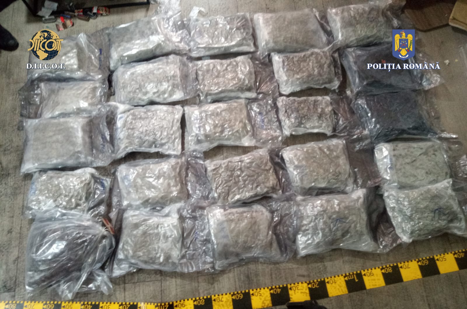 Percheziții la dealerii de droguri din nordul țării. Zeci de kilograme de canabis, ascunse în trollere