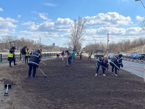 Nicuşor Dan anunță că a început plantarea de seminţe de flori pe malul Dâmboviței, în zona Parcului Natural Văcăreşti