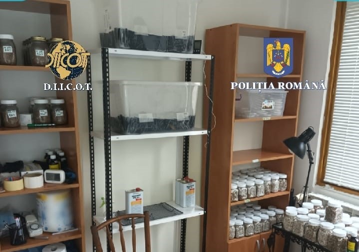 Laborator care producea LSD și ciuperci halucinogene, descoperit de polițiști și procurorii DIICOT