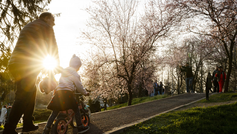 Sute de oameni se plimba pe o alee cu pomi infloriti in Timisoara, 19 Martie 2023.