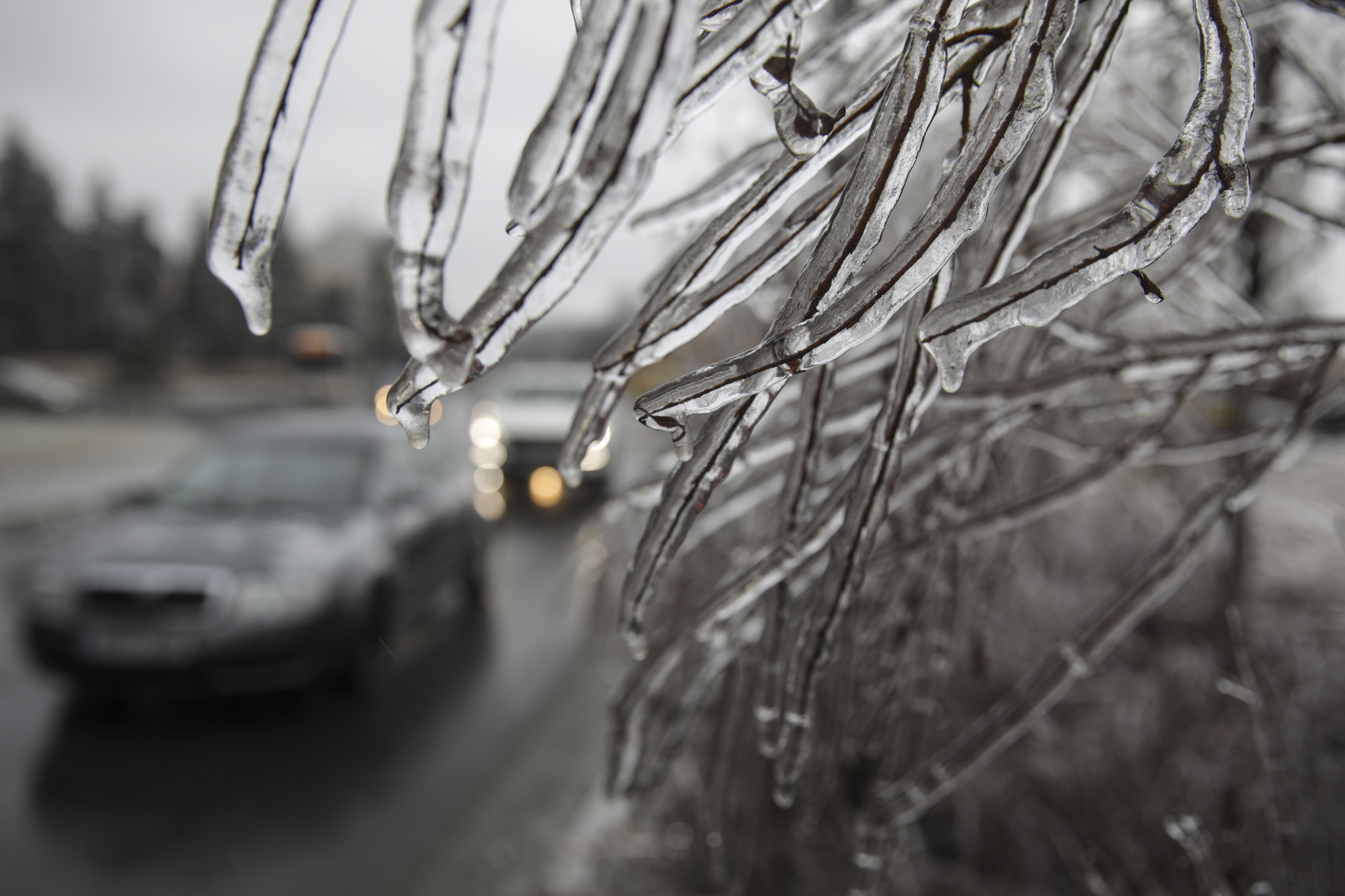 HĂRȚI. Cod galben de vânt în aproape toată țara. Temperaturile scad până la -10 grade