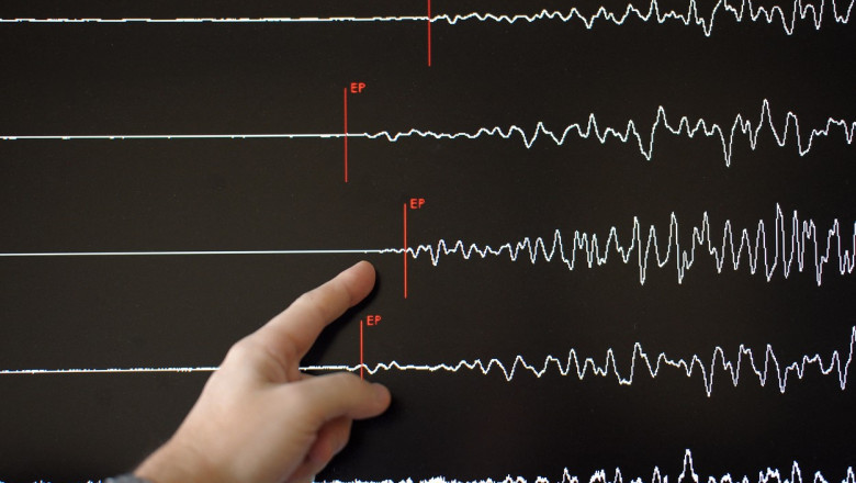 Degetul arătător al unei mâini indică ecranul unui seismograf.