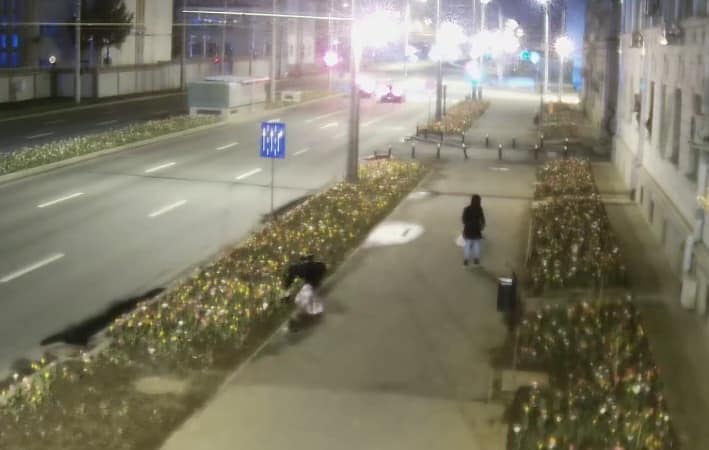 Două femei au fost prinse furând lalelele plantate recent în Sectorul 6. Riscă închisoarea pentru furt calificat