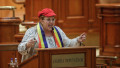 diana sosoaca la parlament