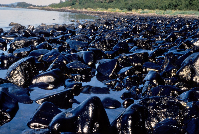 Exxon Valdez Oil Spill in Prince William Sound, Alaska