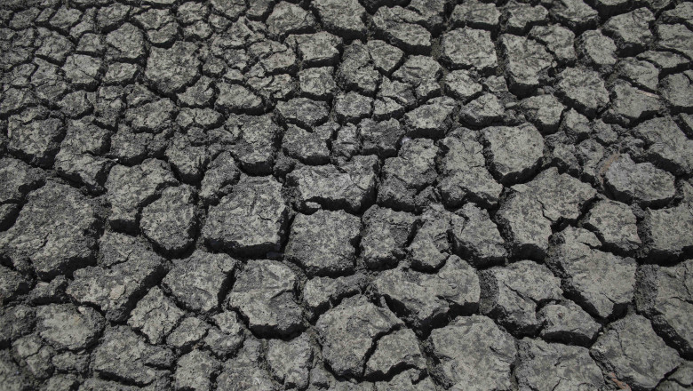 Albia raului Calnistea secat in urma precipitatiilor reduse, in Botoroaga, 24 iulie 2022.