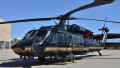elicopter blackhawk al armatei sua