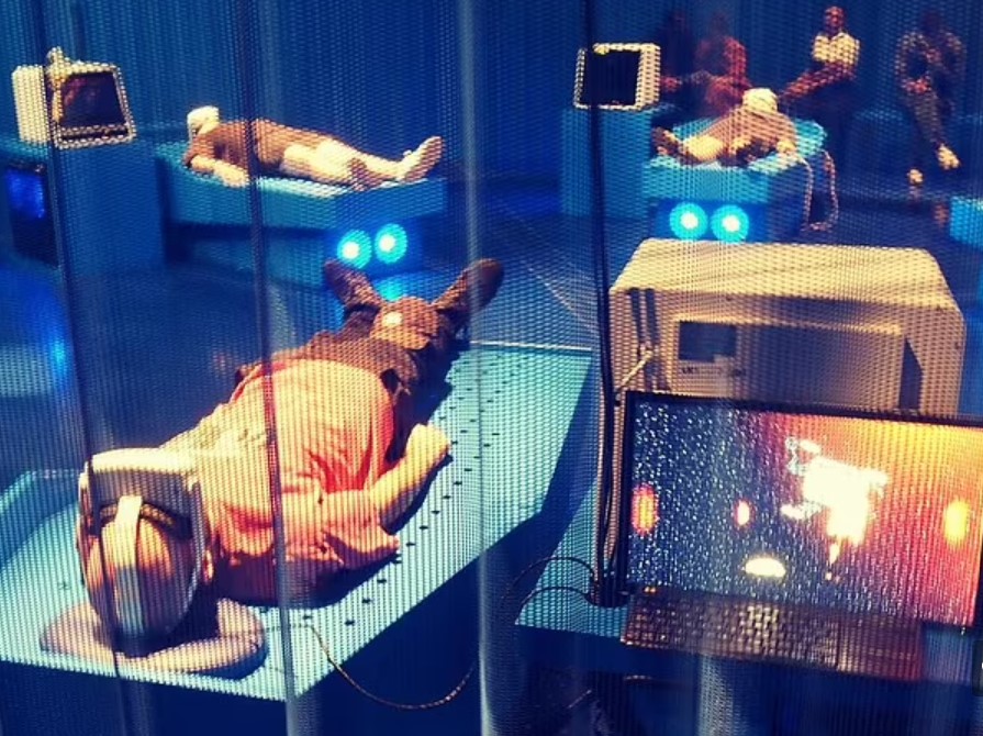 VIDEO Ce simți atunci când mori? Un simulator te ajută să experimentezi momentul propriei morți