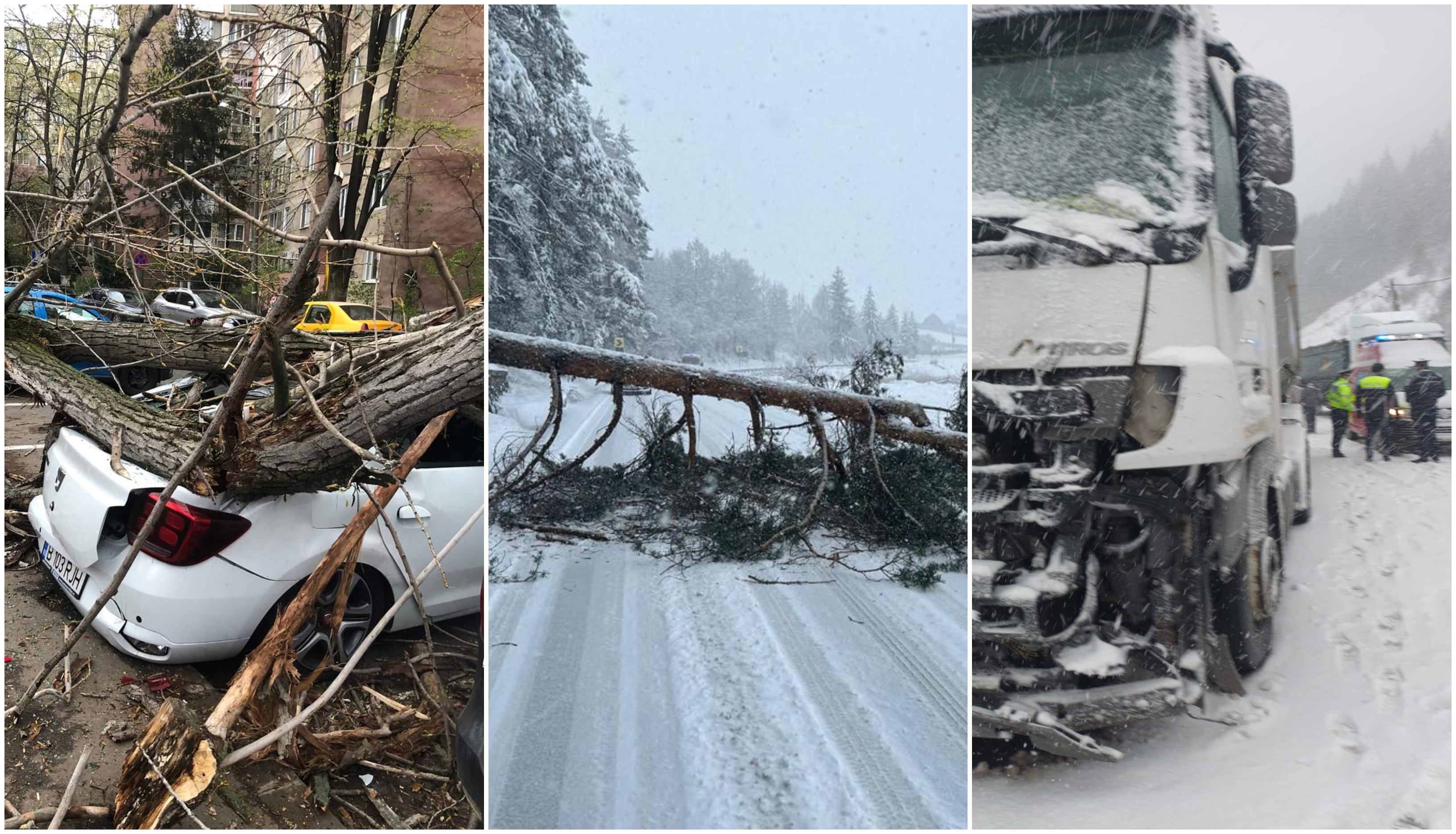 Trafic blocat pe mai multe drumuri naționale din cauza ninsorilor, copaci doborâți peste mașini, acoperișuri smulse de vânt