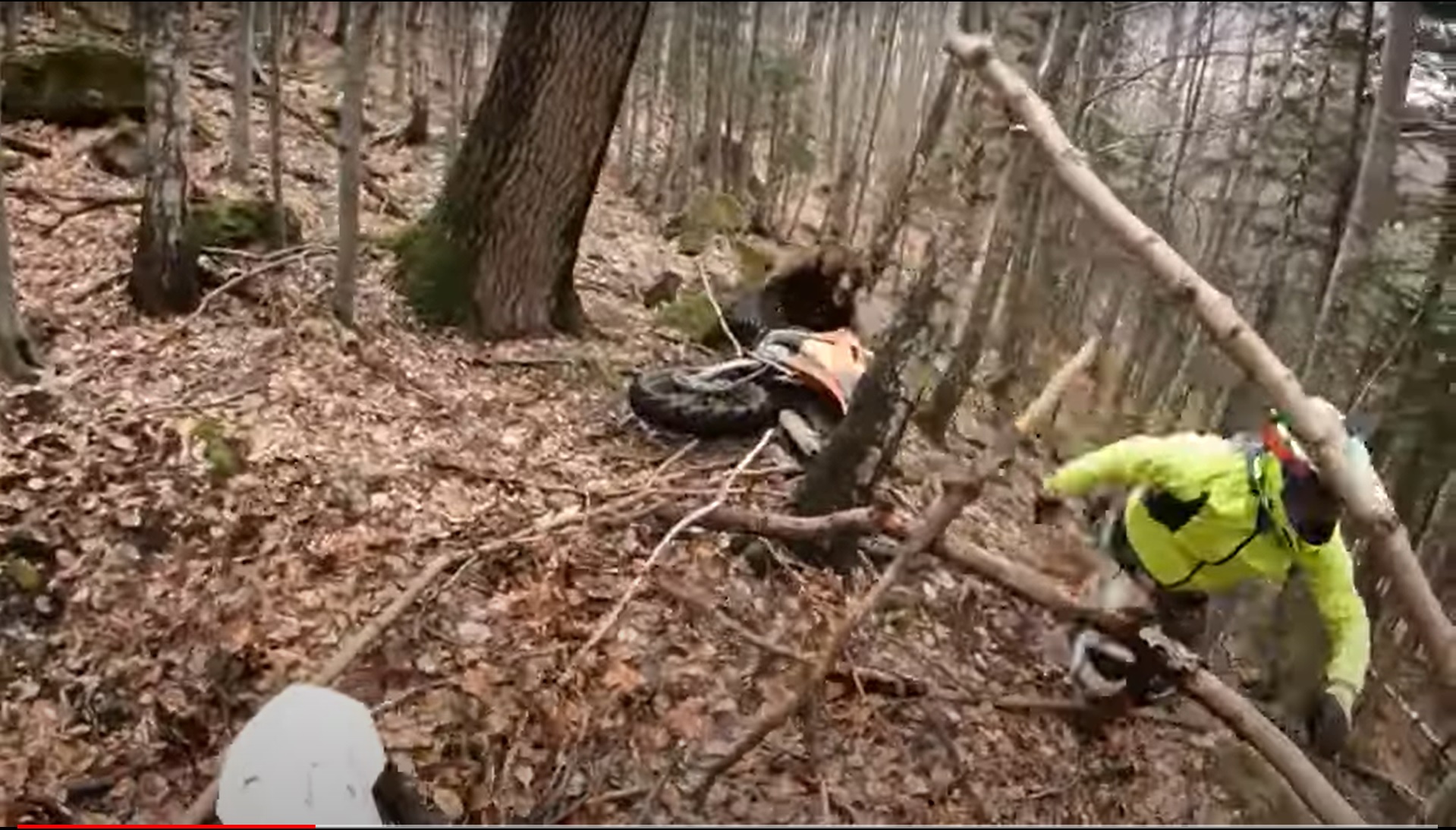 Imagini șocante cu un urs care iese din bârlog să-l atace pe un motociclist enduro