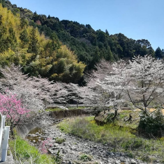 japonia-peisaj-rural