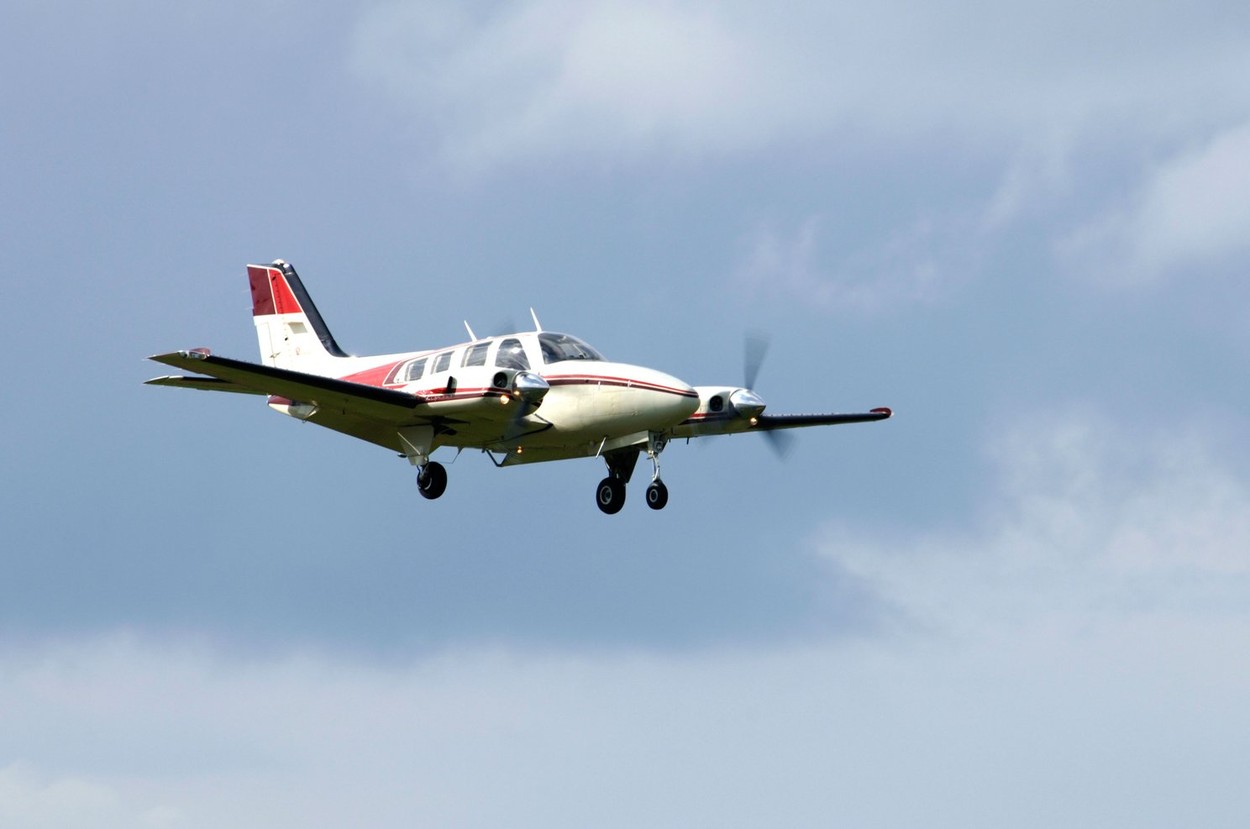 Un avion a aterizat de urgență din cauza unei cobre care a ajuns în cabina piloților. „A fost un moment de groază”