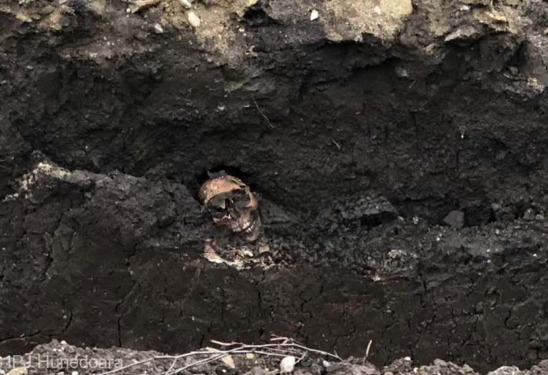 Oase umane descoperite în centrul Devei, în timpul unor lucrări de excavare