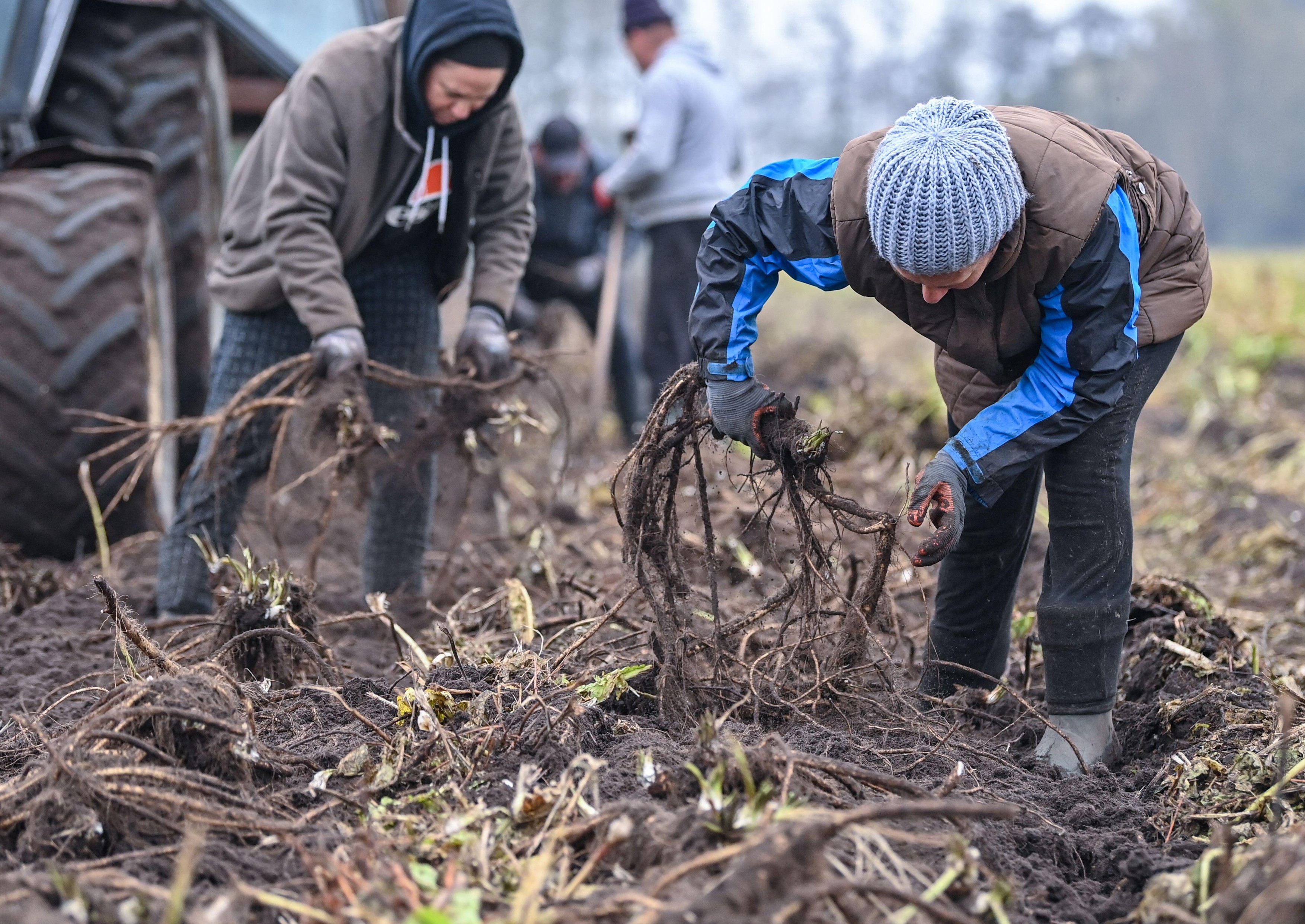 UE a pierdut 5,3 milioane de ferme în 15 ani (Eurostat). Care e situația din România