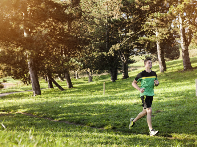 Un ragazzo che faceva jogging è stato ucciso da un orso in Italia