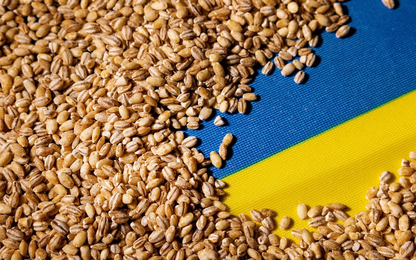 Parlamentul European cere Bruxellesului ca cerealele ucrainene să nu mai rămână în țările de tranzit