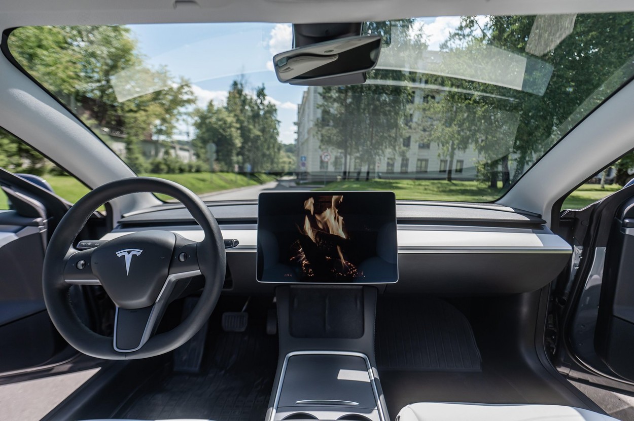 Imagini jenante surprinse de camerele mașinilor Tesla au ajuns la angajații companiei, care le-au dat mai departe