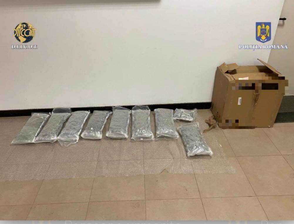 Doi bărbați au fost prinși de DIICOT în timp ce ridicau un colet trimis din Spania cu 9 kilograme de canabis