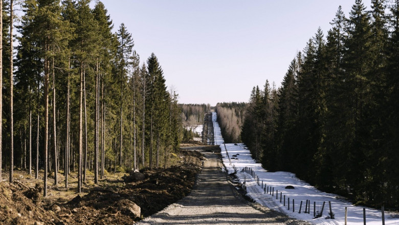 gard intre copaci din padure la granita finlanda rusia