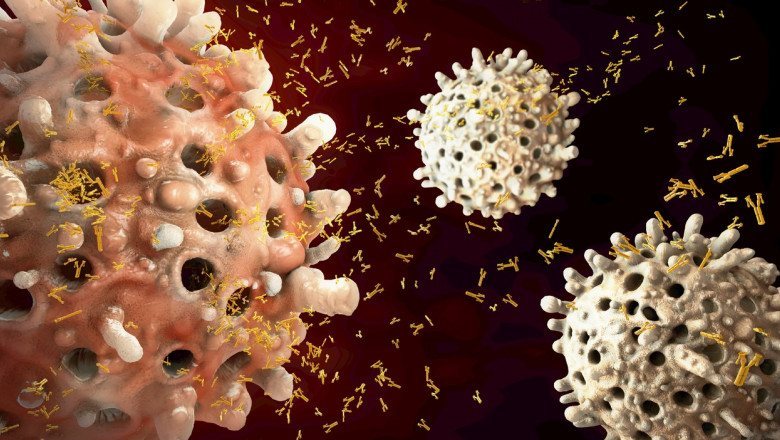 O ilustrație care înfățișează celule B și anticorpi umani.
