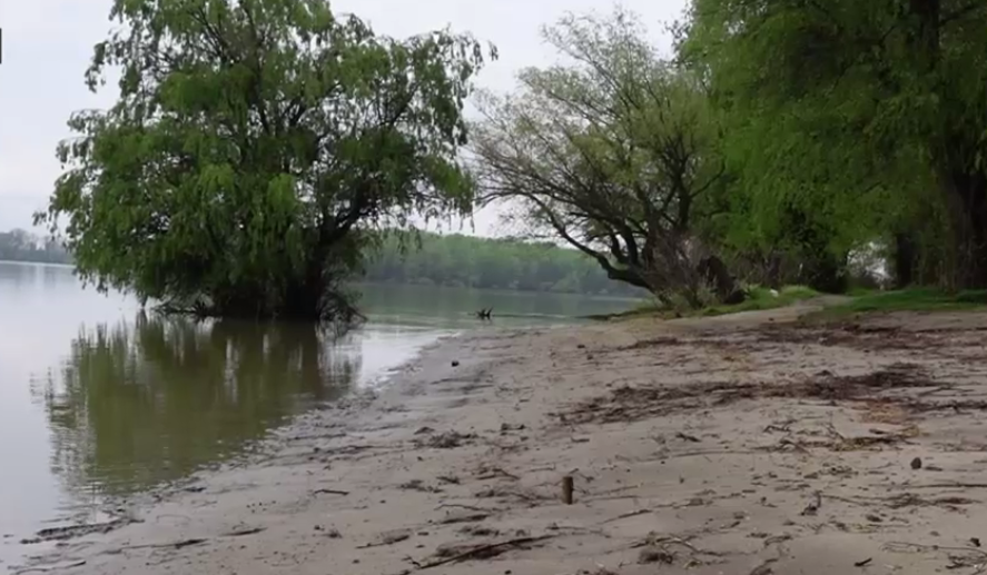Plajele sălbatice comunale de la malul Dunării, alternative ieftine de relaxare și vacanță. Turiștii pot găsi nămol pentru reumatism