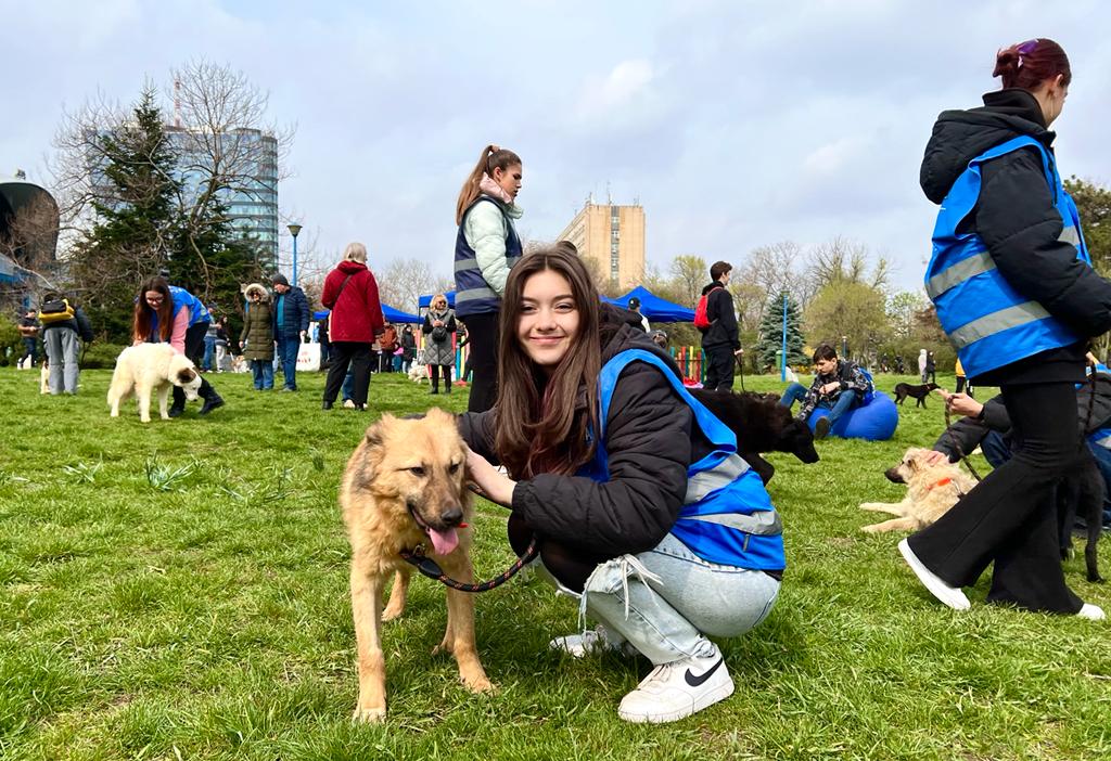 17 căței au fost adoptați la târgul ASPA de pe 8 aprilie. Următorul eveniment are loc pe 29 aprilie, la Arena Națională