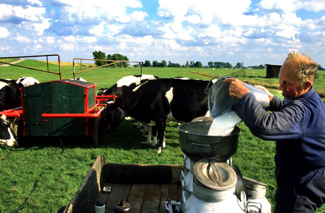 22.000 de preșcolari și elevi, duși de Primăria Brașov la ferme, ca să vadă de unde vine laptele pe care îl beau la școală