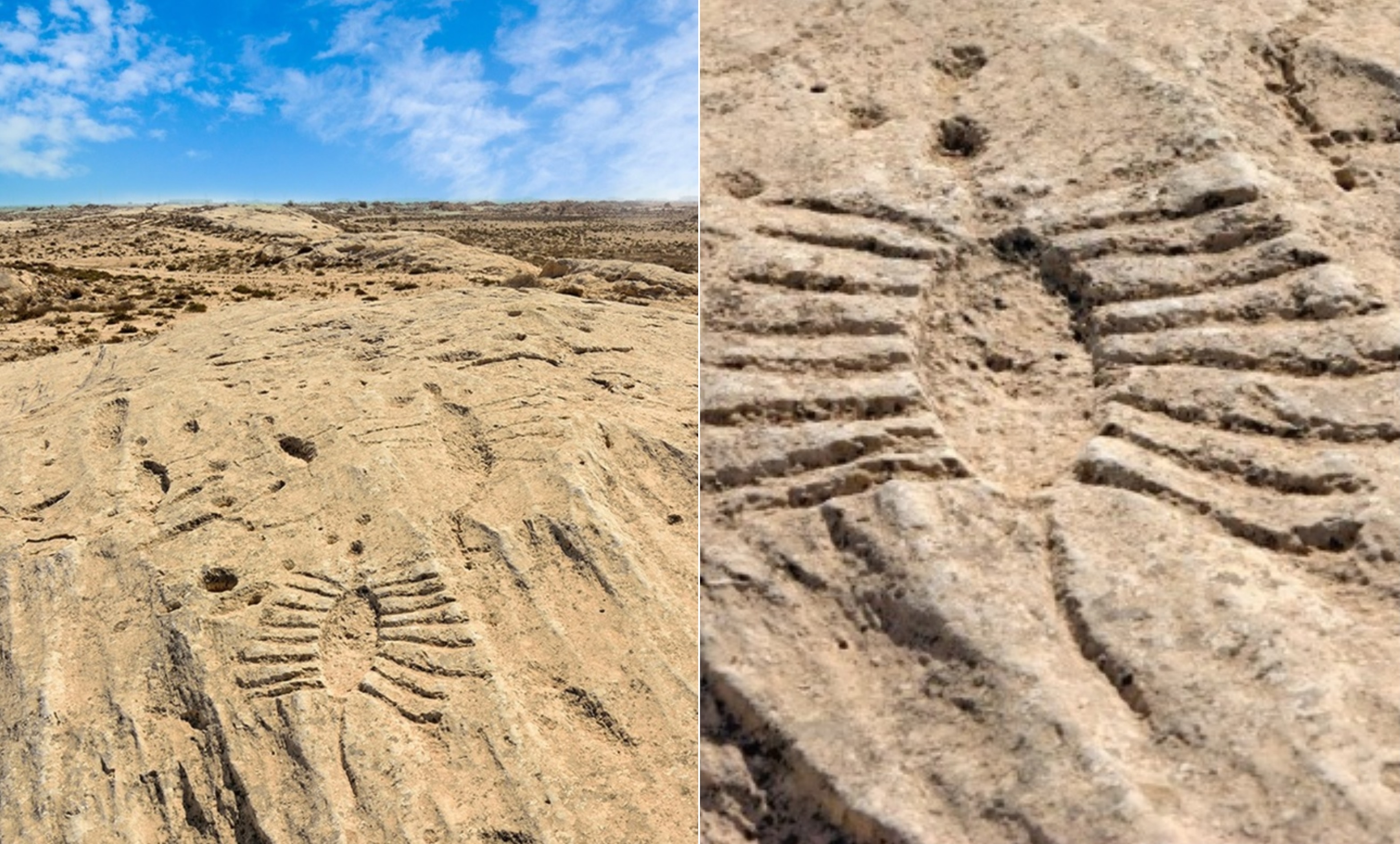 La ce erau folosite simbolurile misterioase descoperite în deșertul din Qatar. „Nu mai pot fi găsite niciunde altundeva”