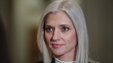Preşedintele interimar al Senatului, Alina Gorghiu inquam