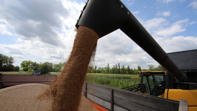 Grain harvest in Kharkiv Region - Ukraine