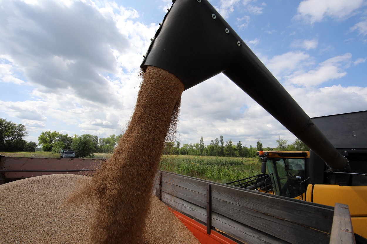 PSD cere MAE să oprească importurile de cereale din Ucraina, după modelul Poloniei