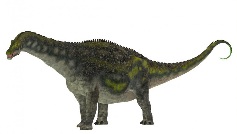 Diamantinasaurus dinosaur, side profile