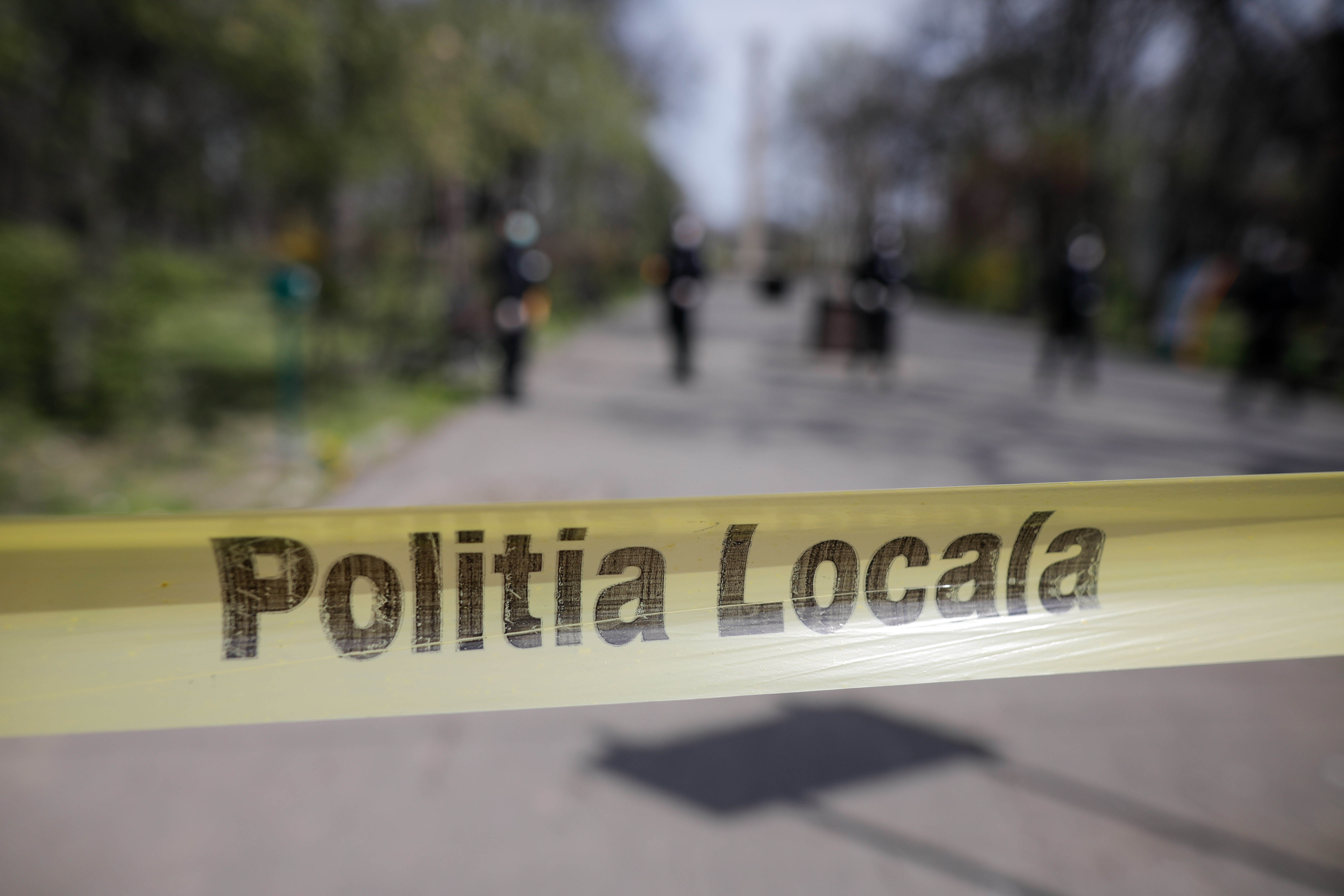 Un polițist local și-a lovit colegul și o autospecială de jandarmi în timp ce parca mașina într-un parc