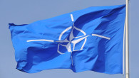 drapelul nato