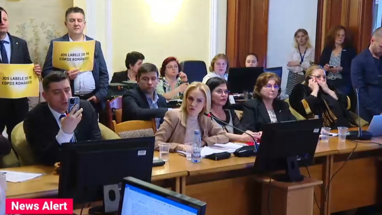 simion firea sosoaca comisie parlament