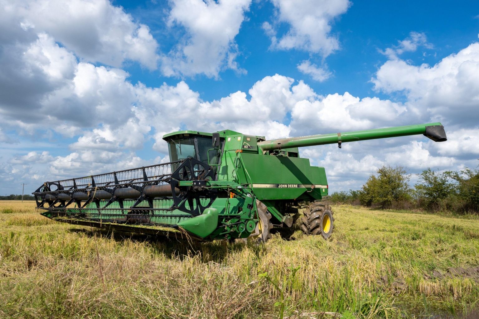 Daea: România nu va mai primi cea mai mică sumă din cele 100 de milioane de euro promise de CE ca despăgubire pentru agricultori