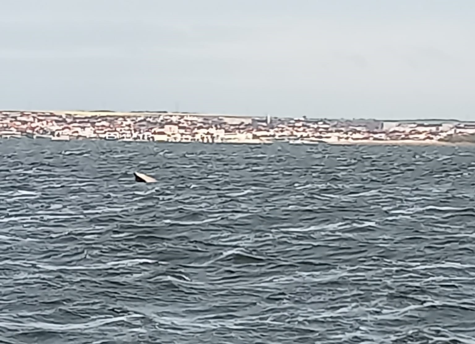 O barcă pescărească s-a scufundat în Lacul Siutghiol din Mamaia