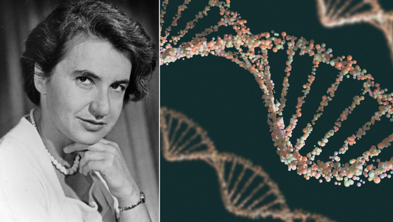 Rosalind Franklin / ilustrație ADN