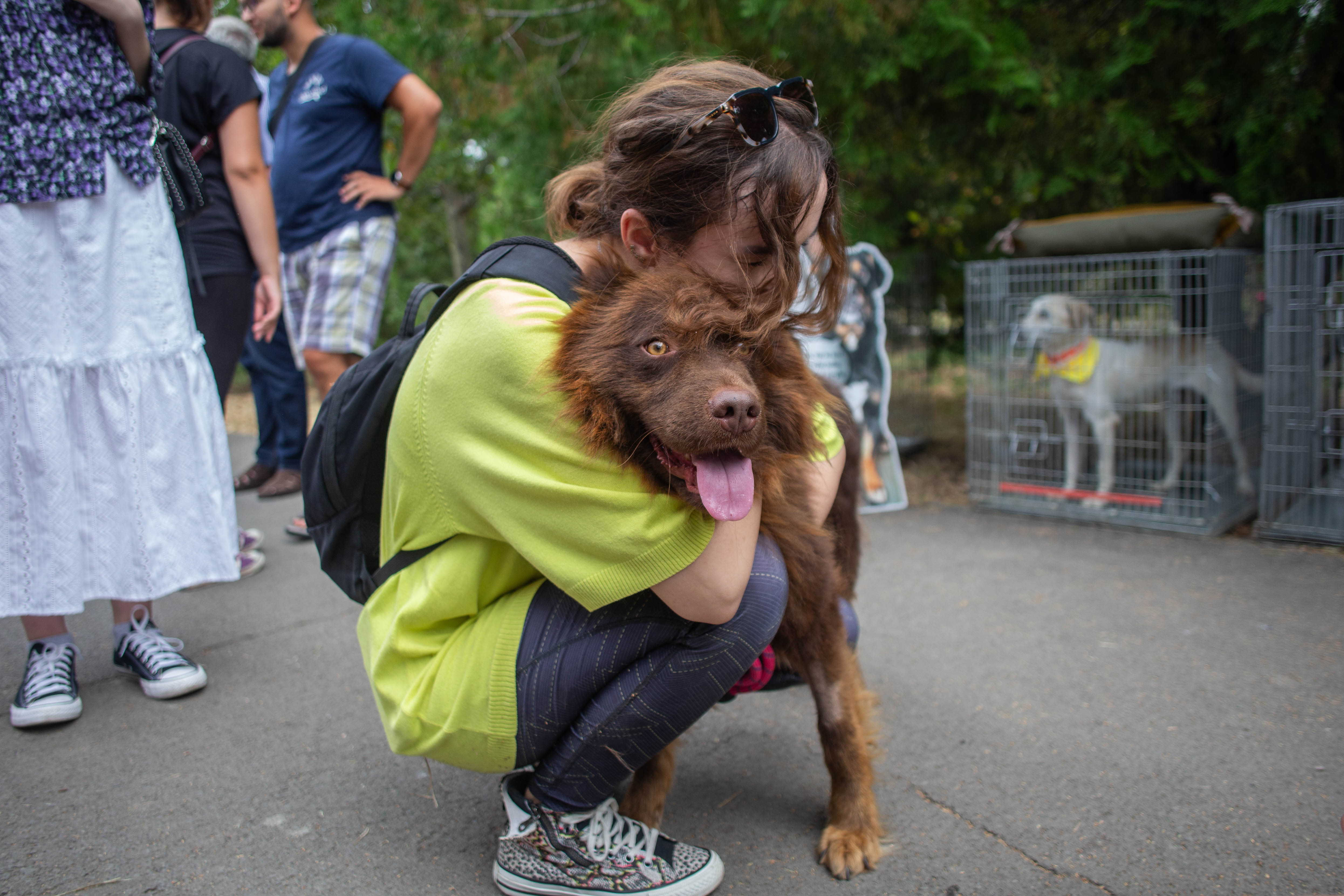 50 de căței sunt propuși spre adopție în cadrul unui târg organizat la Arena Națională din București